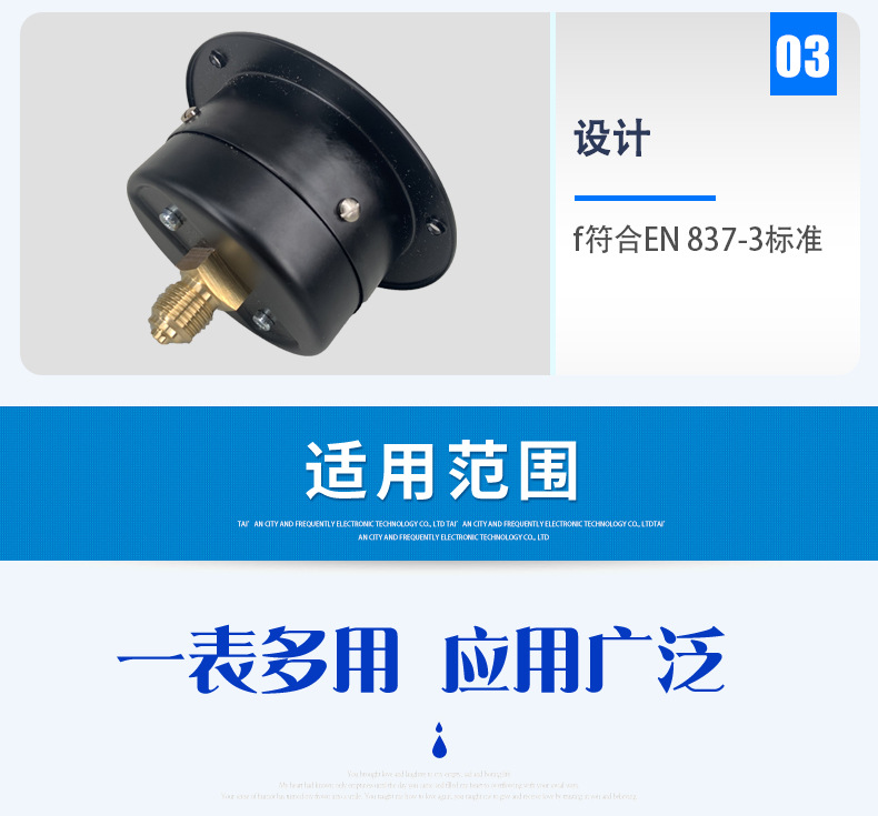 膜盒壓力表611.10_05