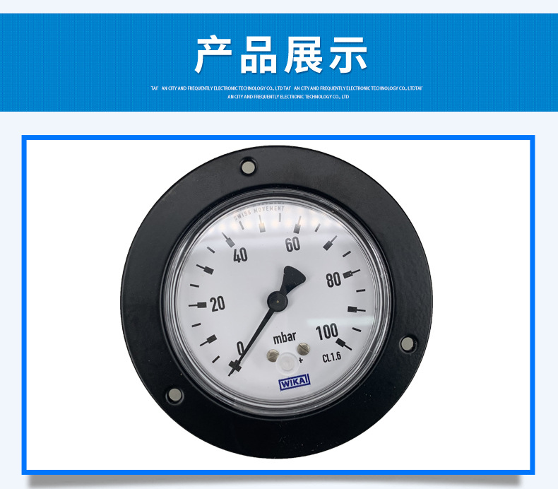 膜盒壓力表611.10_07