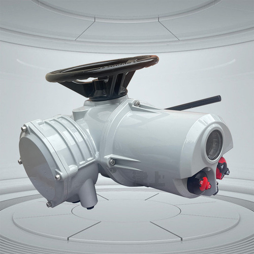 上海上自儀IF25 IFM25 IF35 IFM35 羅托克 電站用自動(dòng)化閥門電動(dòng)裝置