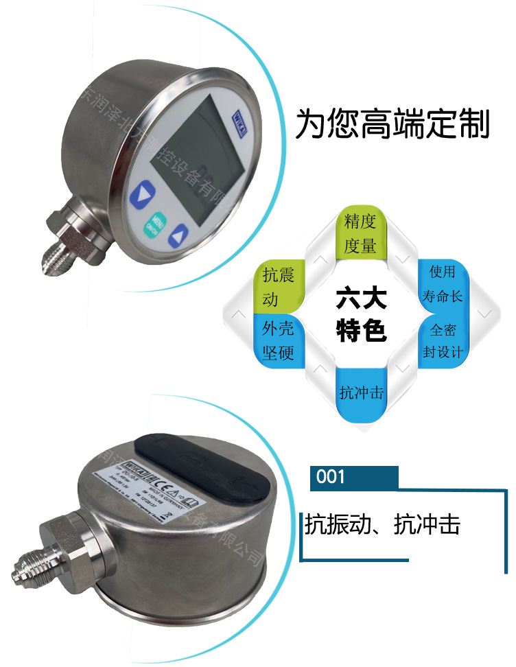 數(shù)字式壓力表DG-10_04