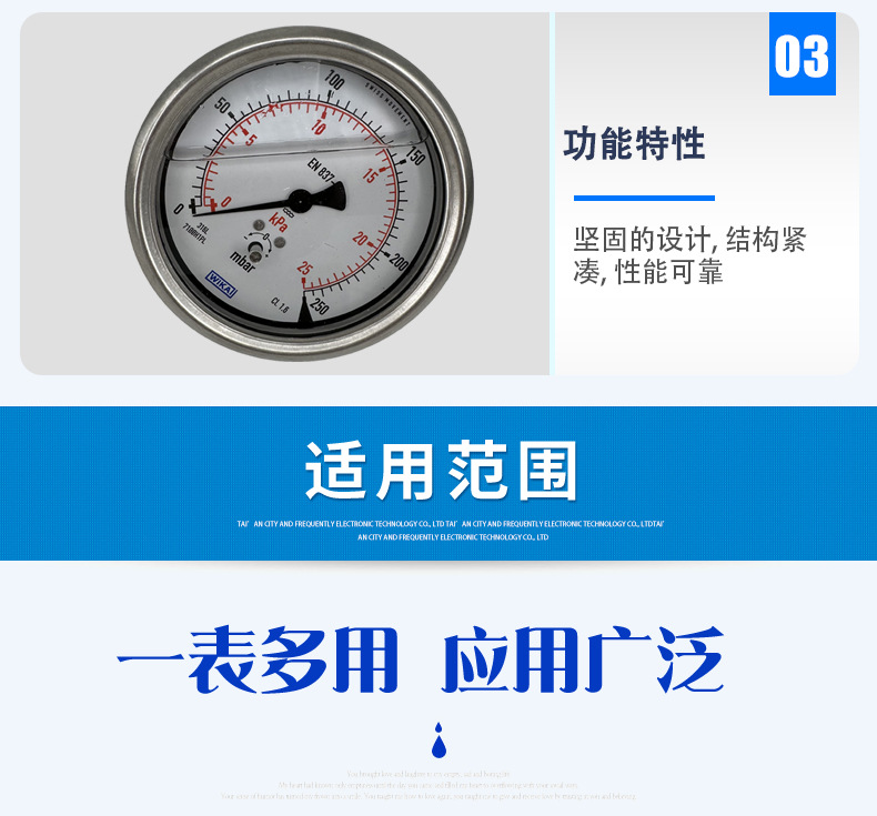 633.50.100壓力表_05