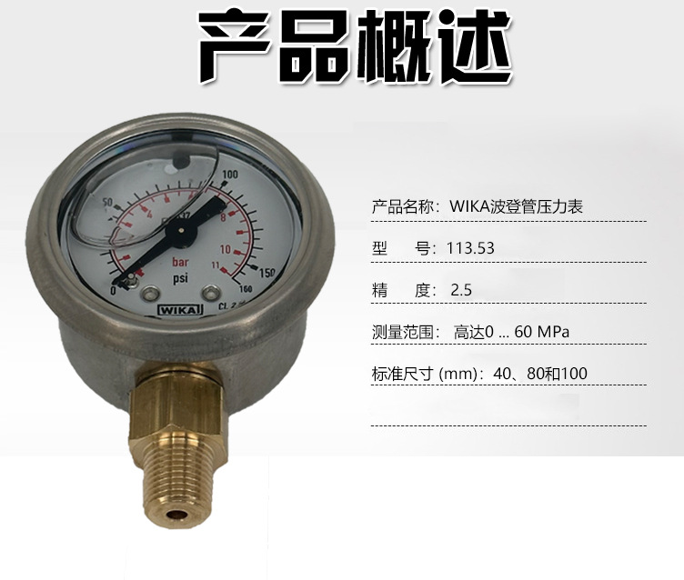 113.53型波登管壓力表_03