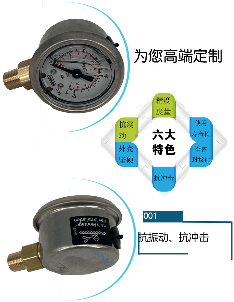 113.53型波登管壓力表_04