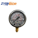 江浙供應(yīng)德國DMASS壓力表 MBB63表徑MBB06B-250-1-ZZZ  徑向