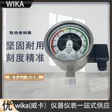 上海自儀銷售wika氣體密度表 一體化設(shè)計用于重新校準(zhǔn)GDM-100系列WIKA密度表