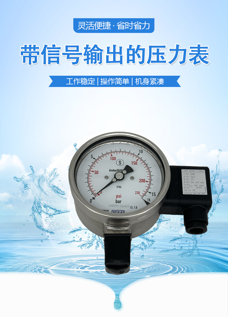 PGT23.100帶輸出的壓力表_01