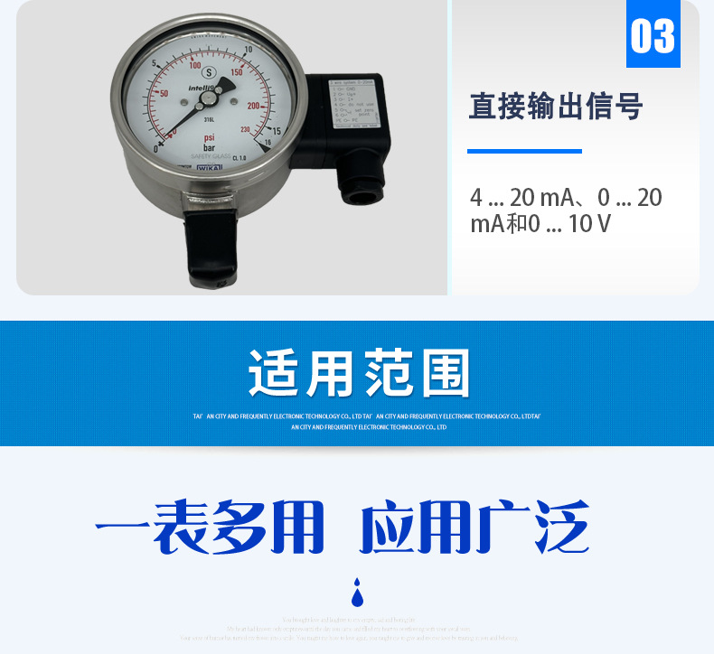 PGT23.100帶輸出的壓力表_05