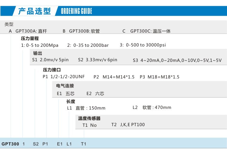 GPT300 高溫熔體壓力傳感器變送器