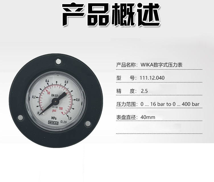 111.12.040帶邊壓力表_03