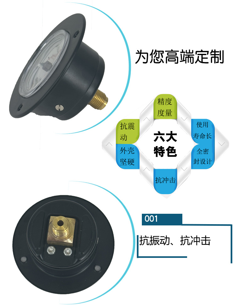 111.12.040帶邊壓力表_04