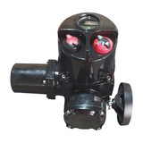 上海上自儀羅托克開關(guān)型電動執(zhí)行器QT80-2智能閥門電動裝置