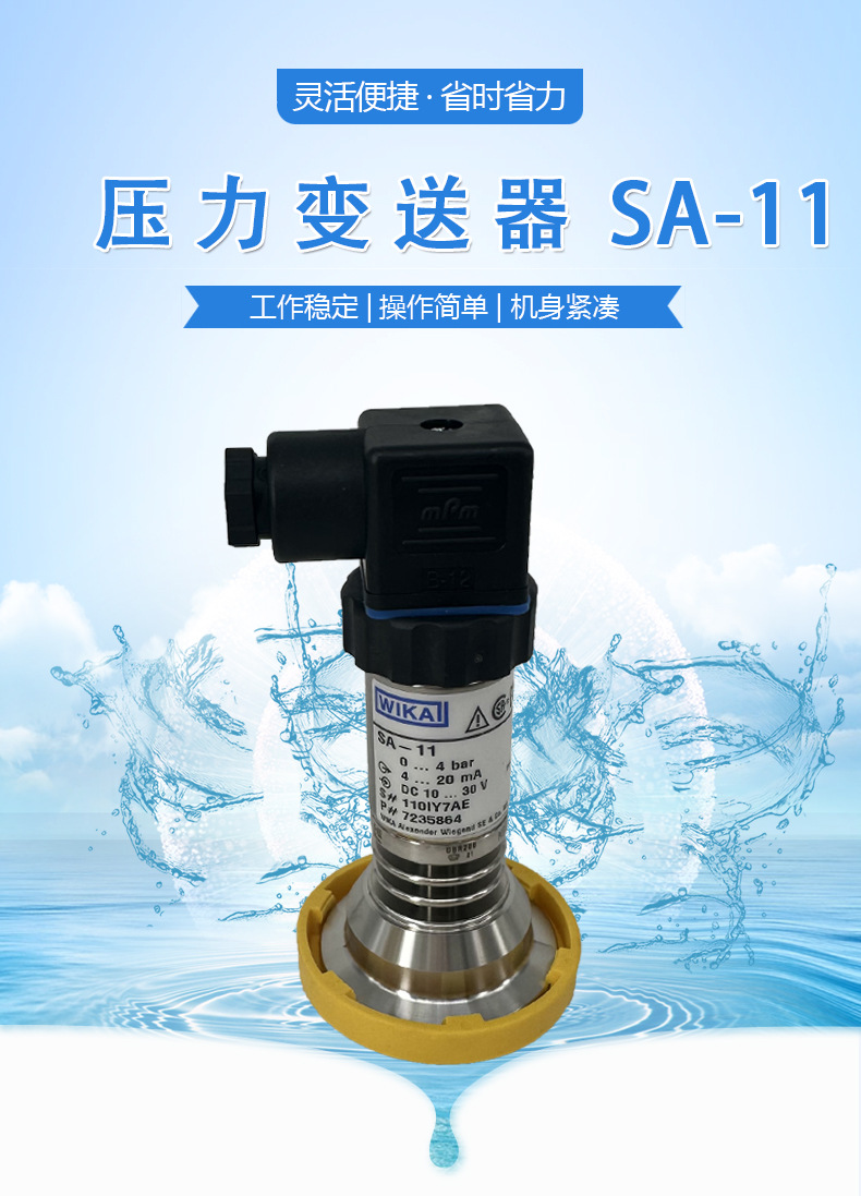 SA-11_01