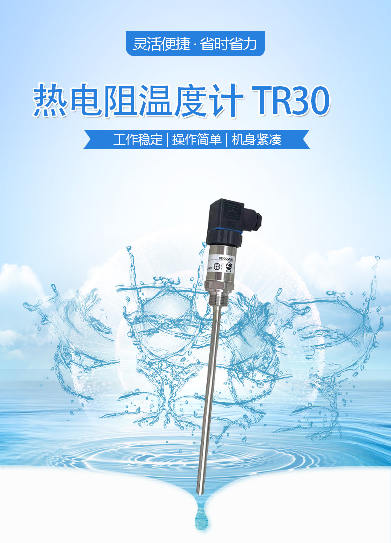 熱電阻溫度計_01