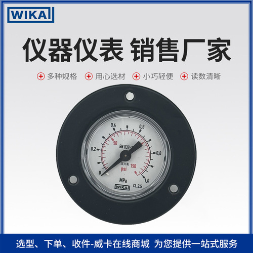 上海自儀銷售111.12.040型壓力表 經(jīng)濟(jì)穩(wěn)定 高精度測(cè)量工業(yè)用 wika帶邊壓力表