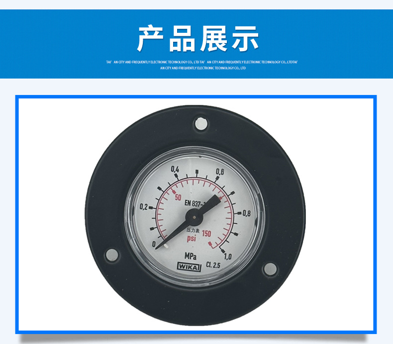 111.12.040帶邊壓力表2_07