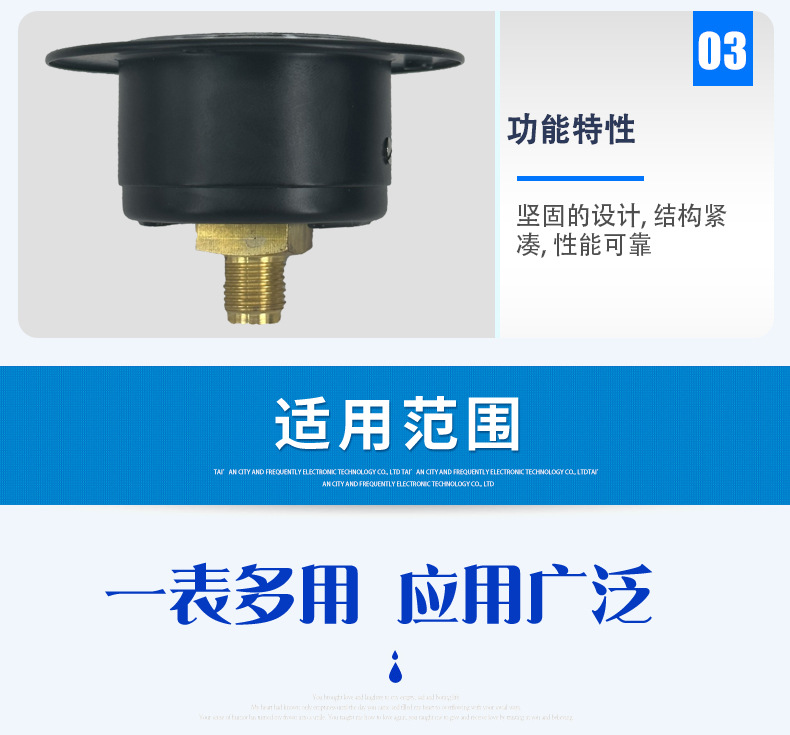 111.12.040帶邊壓力表2_05