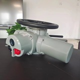 羅托克電動(dòng)執(zhí)行器IQ25智能調(diào)節(jié)4-20mA防水IP68電動(dòng)執(zhí)行器IQM25