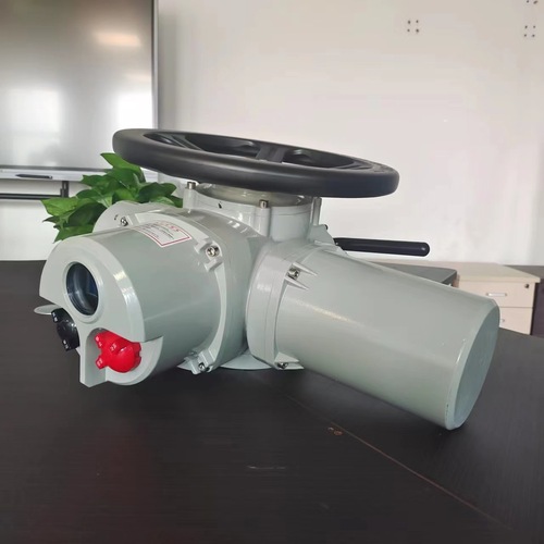 羅托克電動執(zhí)行器IQ25智能調(diào)節(jié)4-20mA防水IP68電動執(zhí)行器IQM25