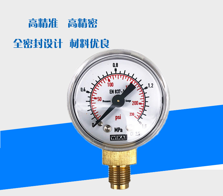 111.10波登管壓力表_02