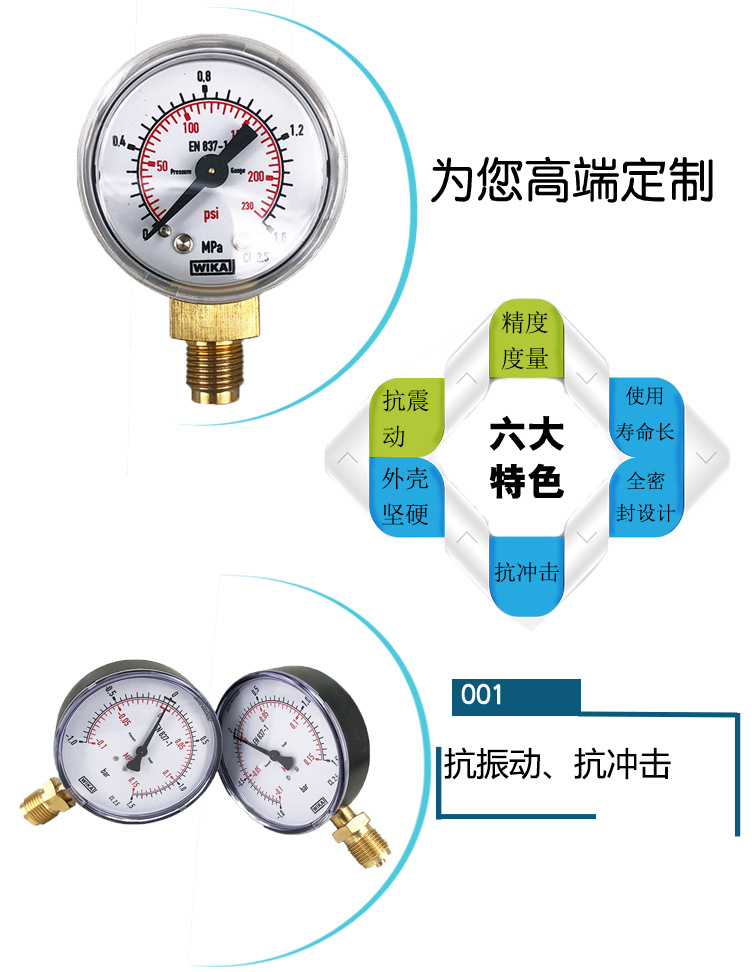 111.10波登管壓力表_04