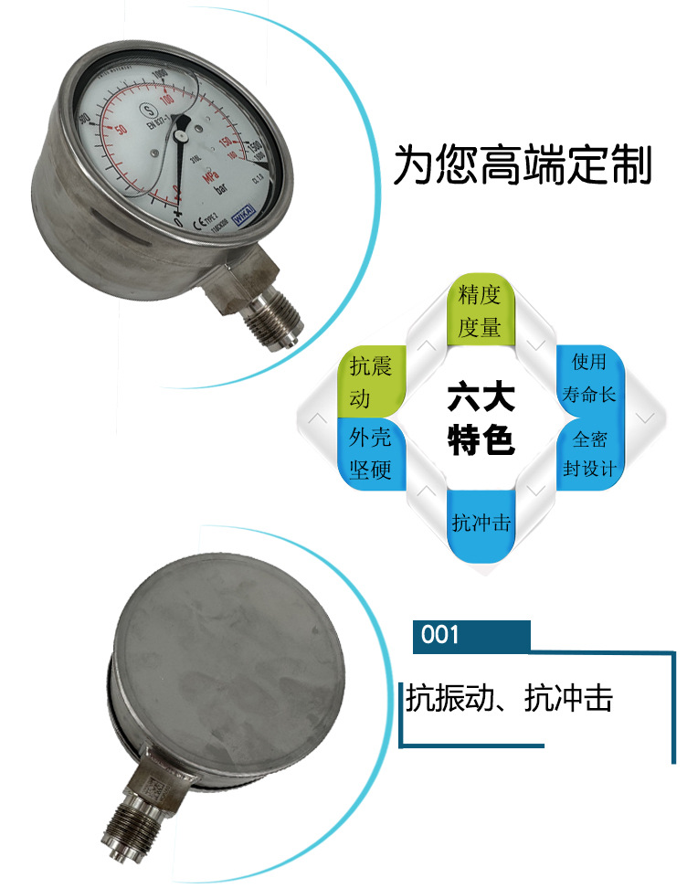 233.30.100壓力表_04