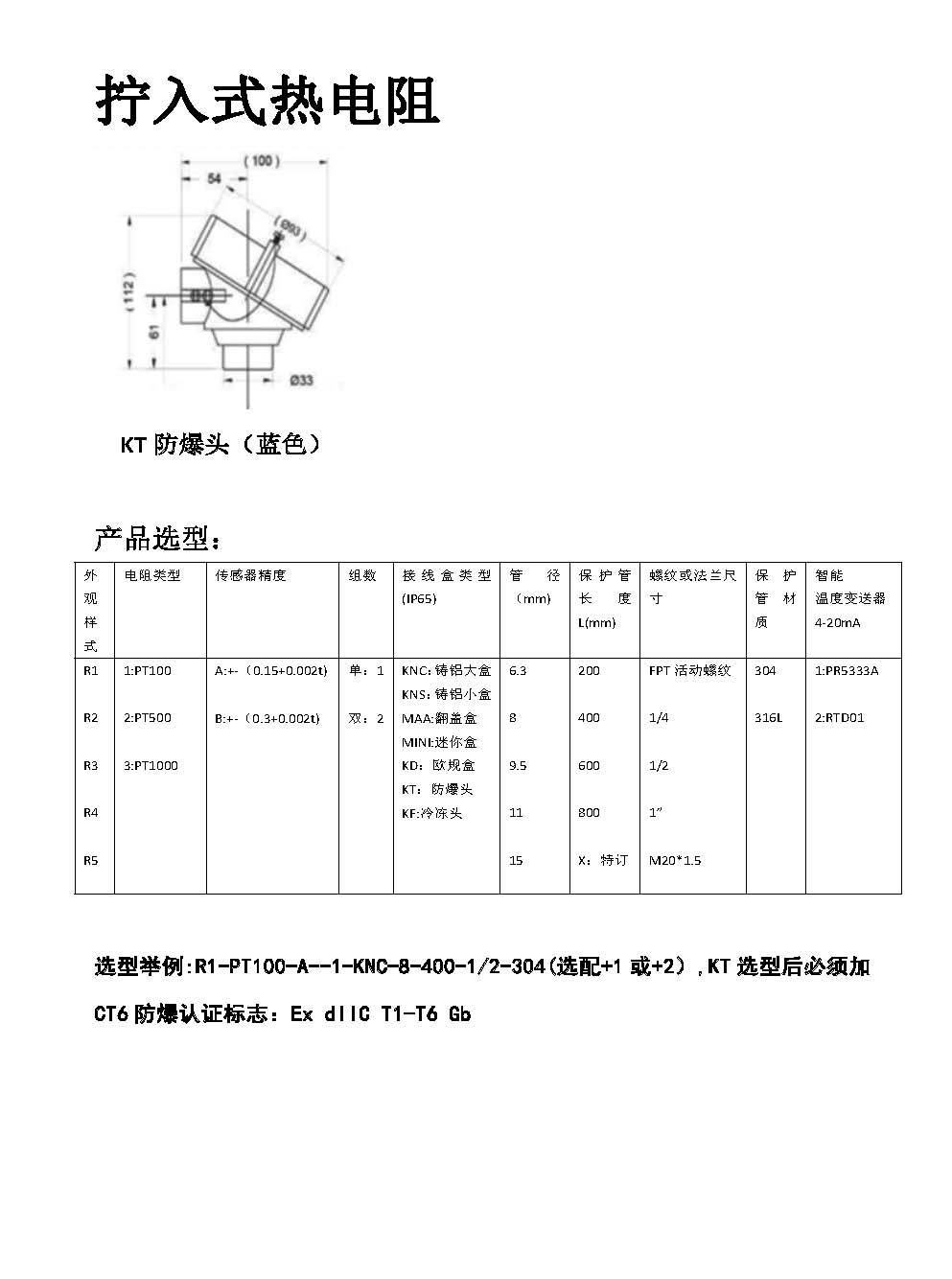 新ZYSNSOR熱電阻含變送器資料_頁面_3