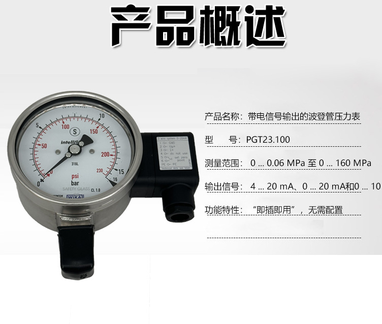 PGT23.100波登管壓力表_03