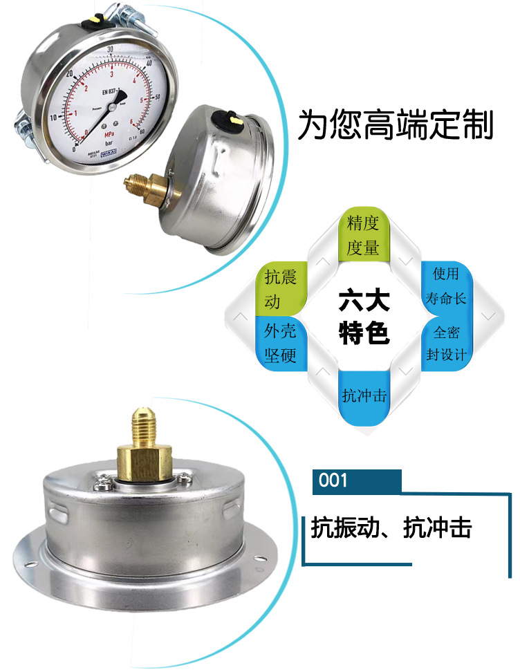 213.53.100壓力表_04