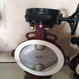 D371F4-10 全襯襯四氟渦輪蝶閥 渦輪對夾蝶閥 鑄鐵襯氟碟閥