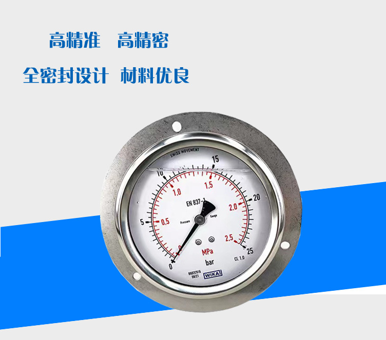 213.53.100壓力表_02
