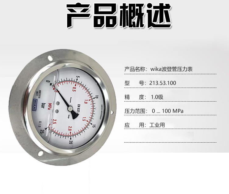 213.53.100壓力表_03