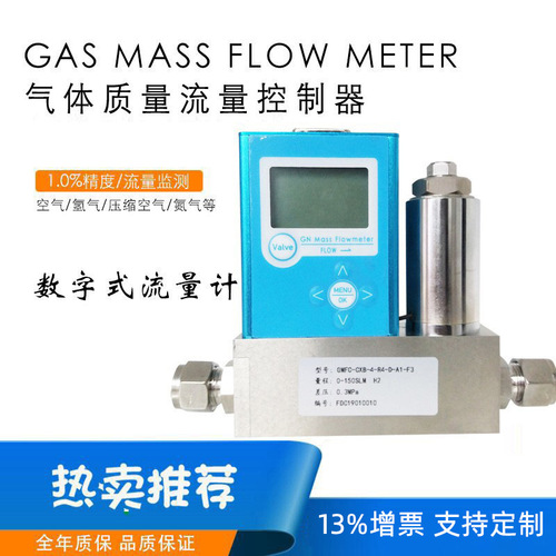 氣體質(zhì)量流量計(jì) 數(shù)字空氣氫氣微小氣體質(zhì)量流量控制器廠家