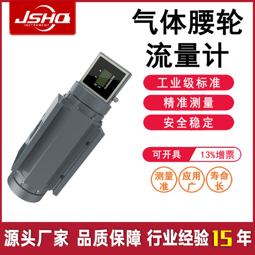 氣體腰輪流量計(jì) 高精度羅茨流量計(jì)天然氣煤氣沼氣液化氣流量計(jì)上海自儀