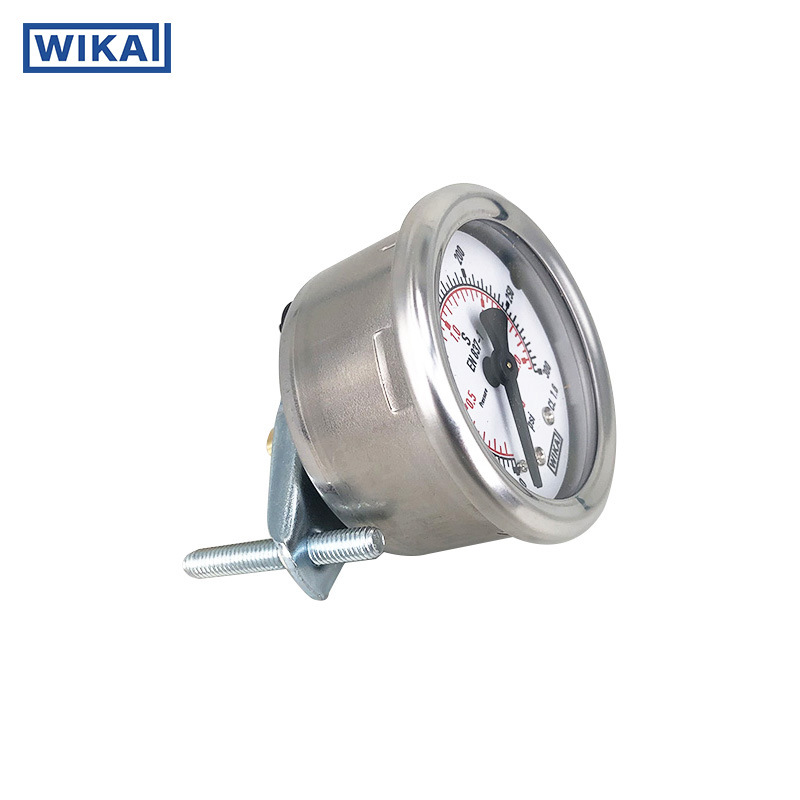 213.53.050 300psi 軸向帶支架 (1