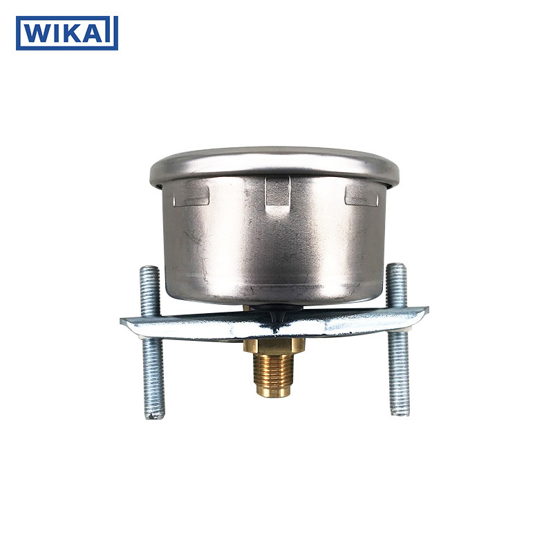 213.53.050 300psi 軸向帶支架 (4