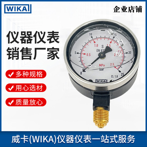 上海自儀銷售德國wika數(shù)顯型壓力表耐震耐沖擊用于液壓裝置船舶工業(yè)213.40.063