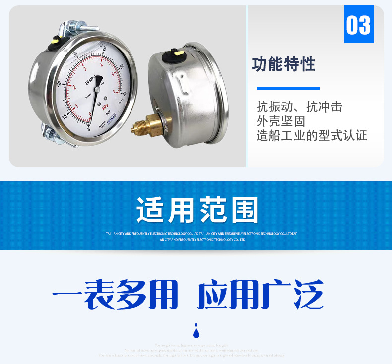 213.53.100波登管壓力表_05
