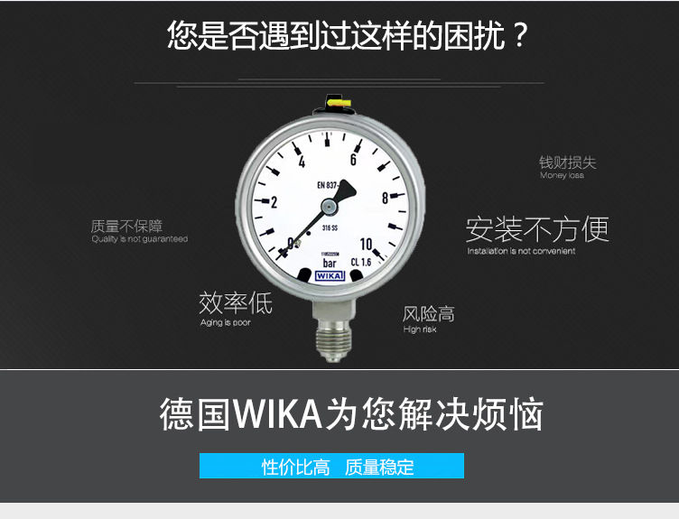 波登管壓力表232.50.063_01