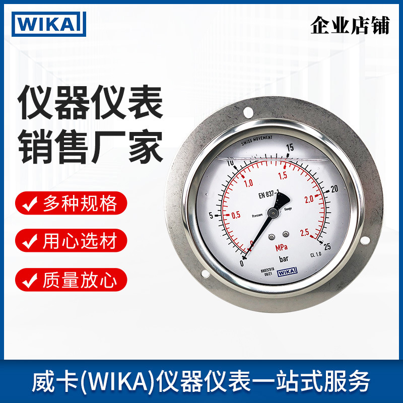 213.53.100 25bar 軸向帶邊 特殊螺紋