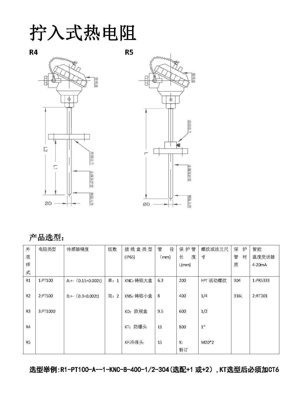 ZYSENSOR熱電阻_頁面_2