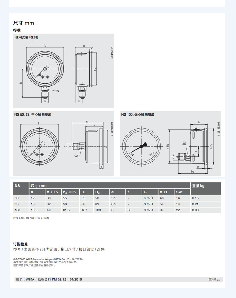 213.53.100波登管壓力表_12