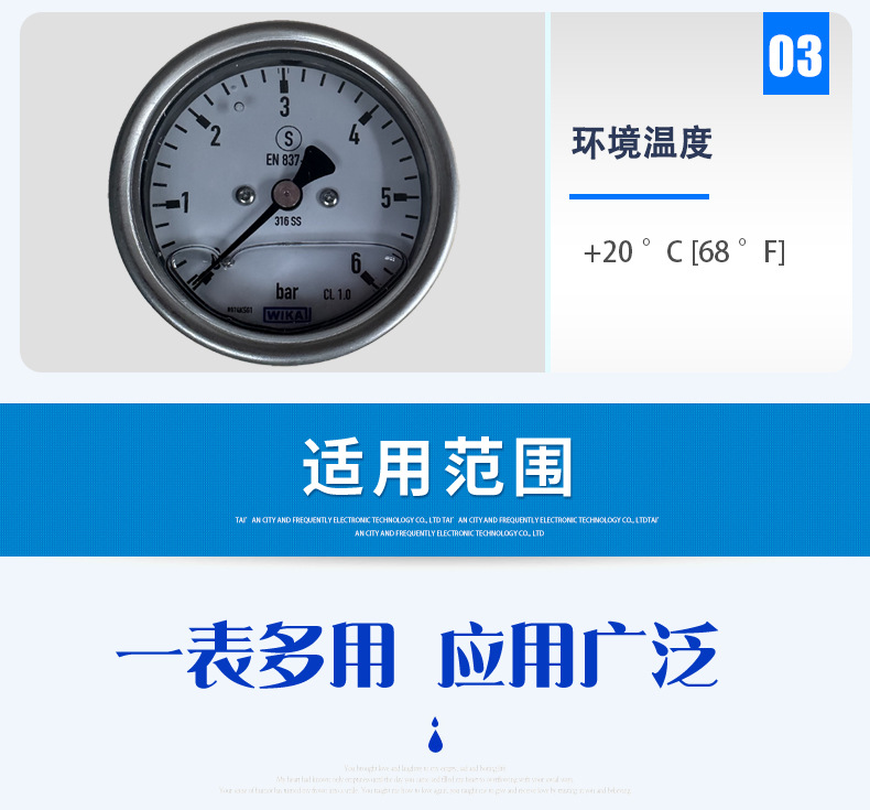 233.30.063壓力表_05