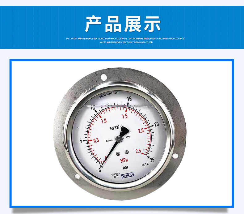 213.53.100波登管壓力表_07