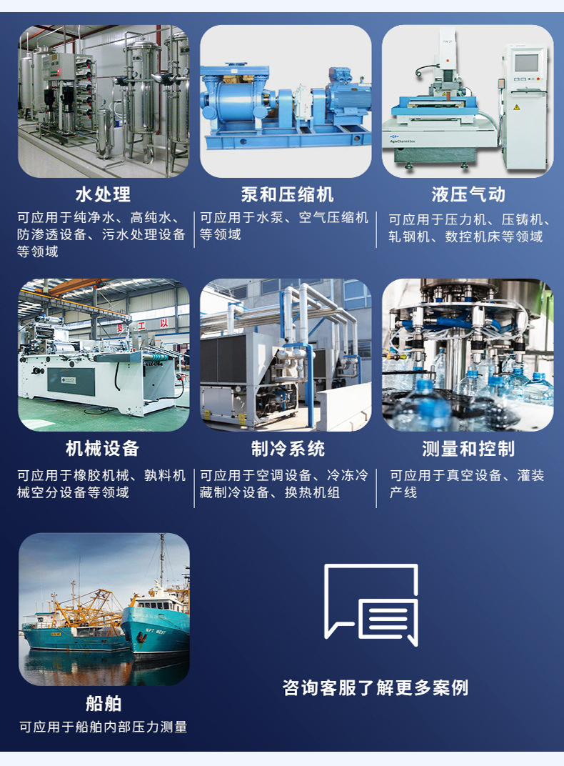 213.53.100波登管壓力表_06
