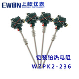 WZPK-233/234鉑熱電阻WZPK2-235 236雙支溫度傳感器PT100 0-450度