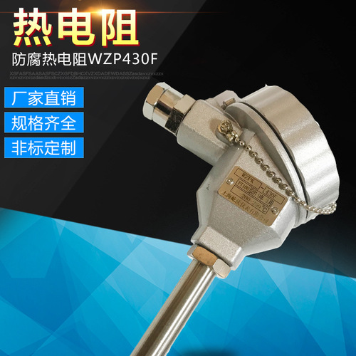 廠家供應不銹鋼防腐熱電阻WZP430F 專業(yè)銷售鉑電阻 pt100非標供應