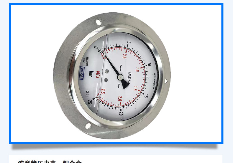213.53.100波登管壓力表_10