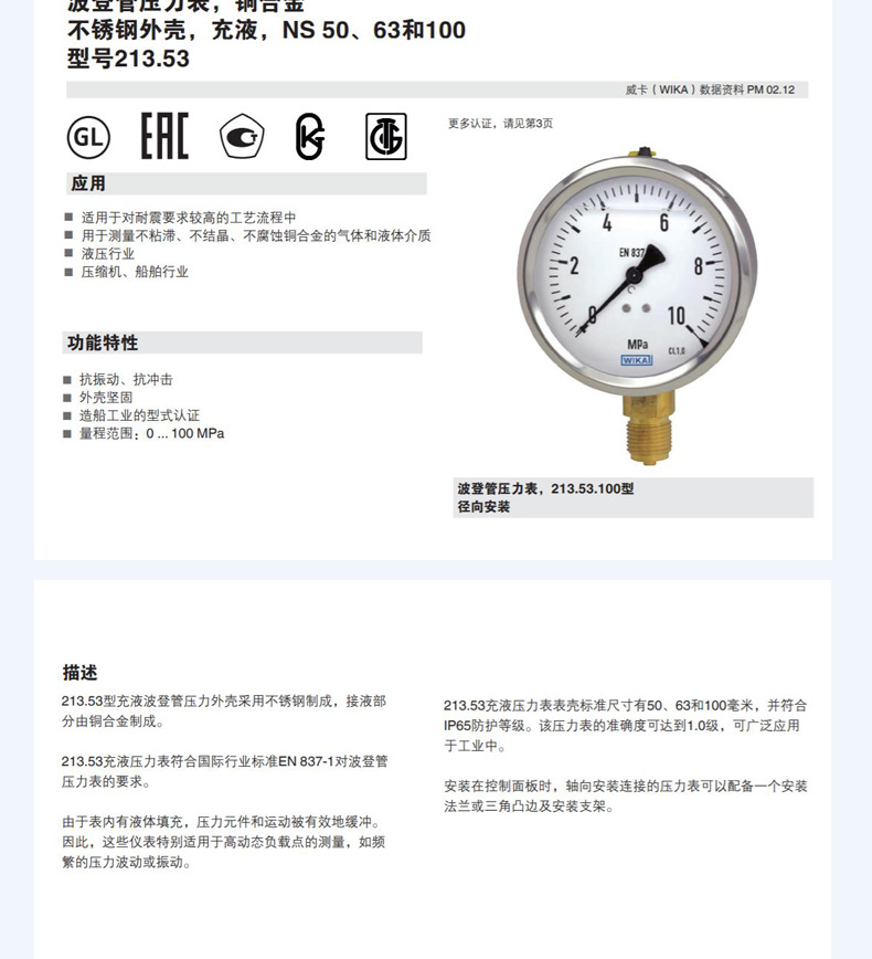 213.53.100波登管壓力表_11
