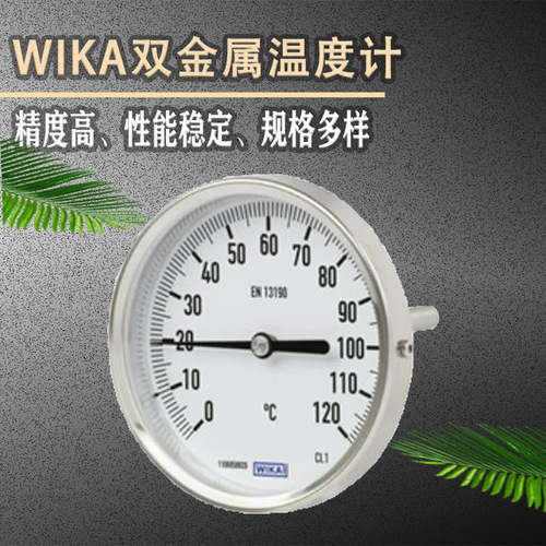 上海自儀銷售溫度計(jì)A52,R52工業(yè)系列 五種接口設(shè)計(jì)供暖系統(tǒng)工業(yè)測(cè)量用溫度計(jì)