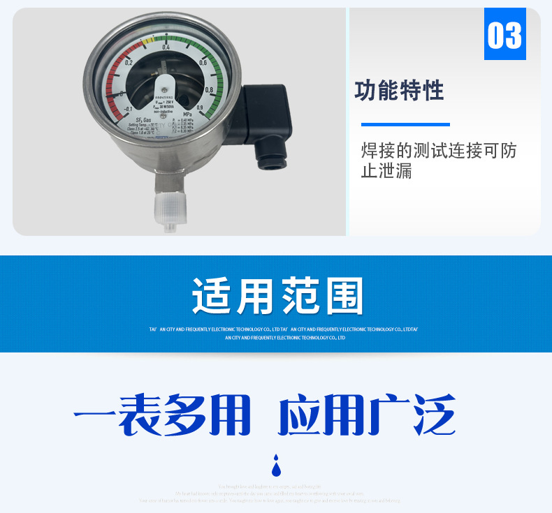 GDM-100氣體密度表2_05